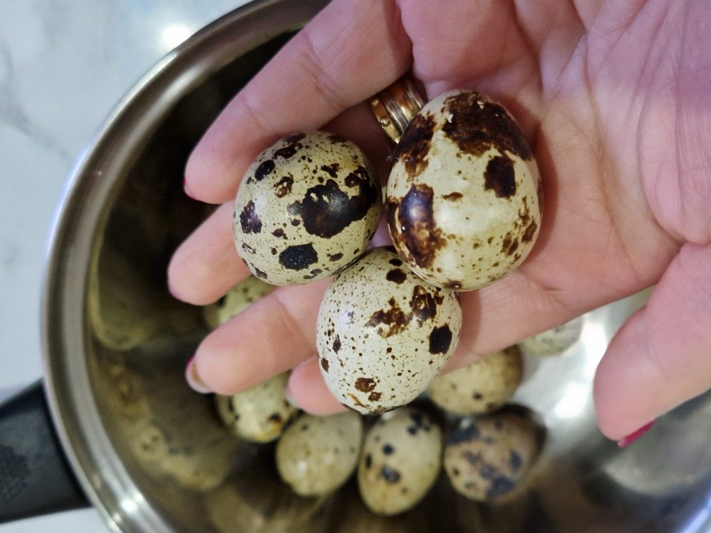 quail eggs