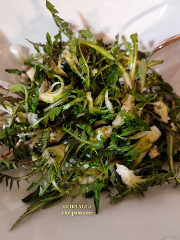 dress dandelion with root