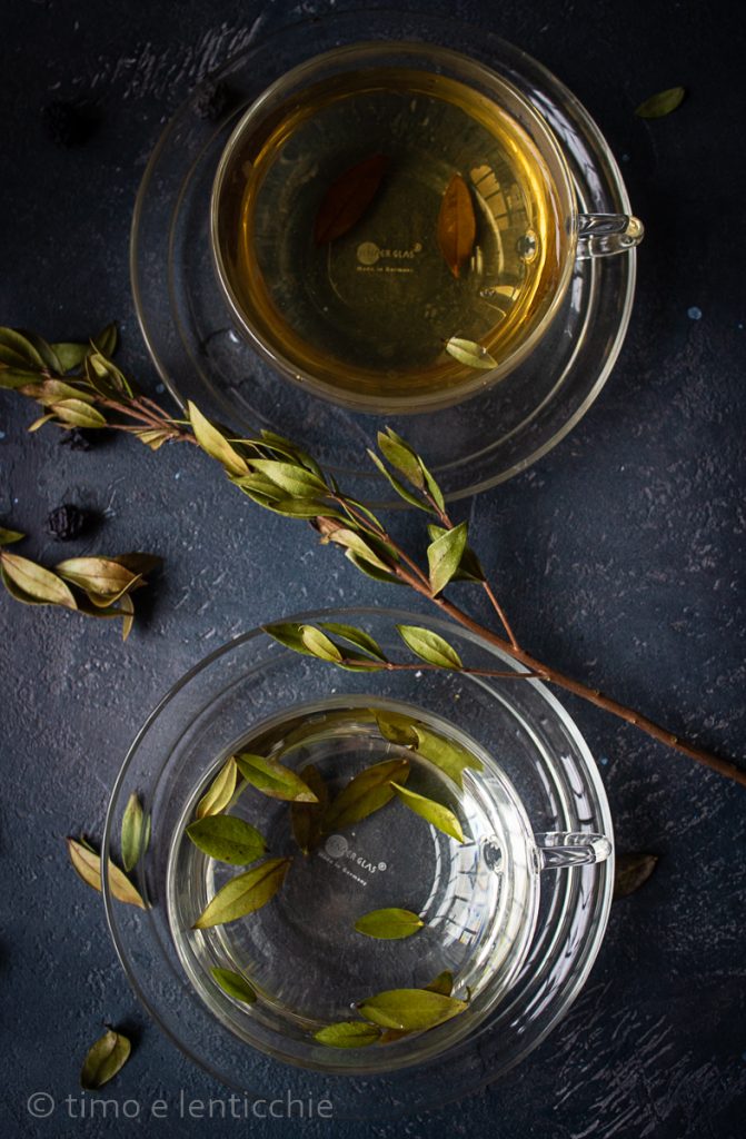 Myrtle infusion and decoction