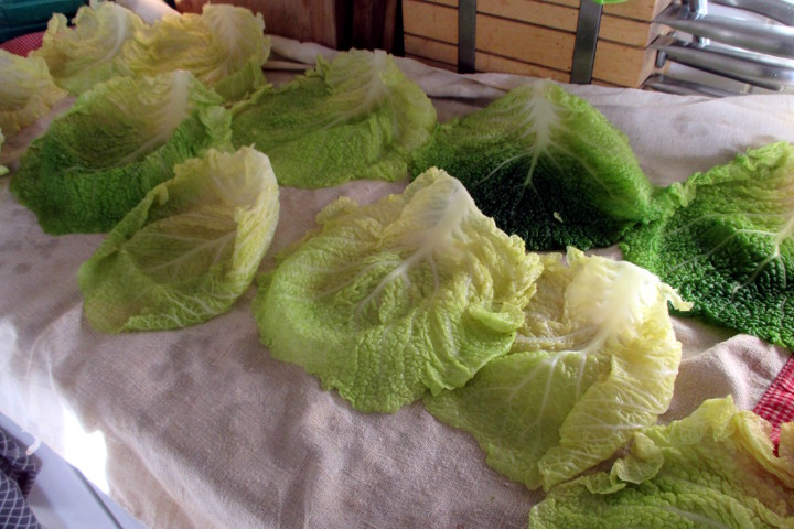 Vegan cabbage rolls preparation, Mangia senza Pancia