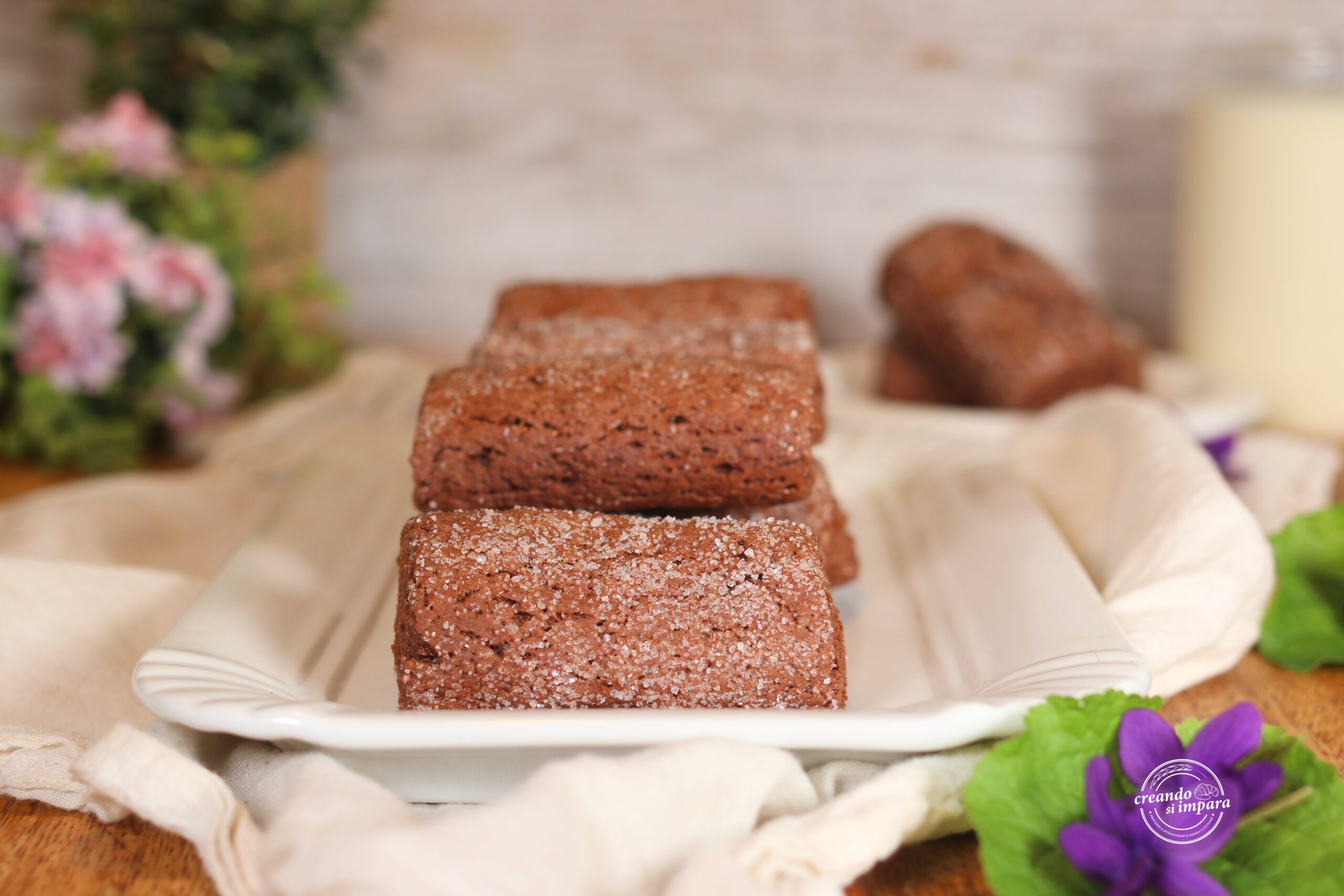 Cocoa Dipping Cookies: the rustic, no-rest recipe
