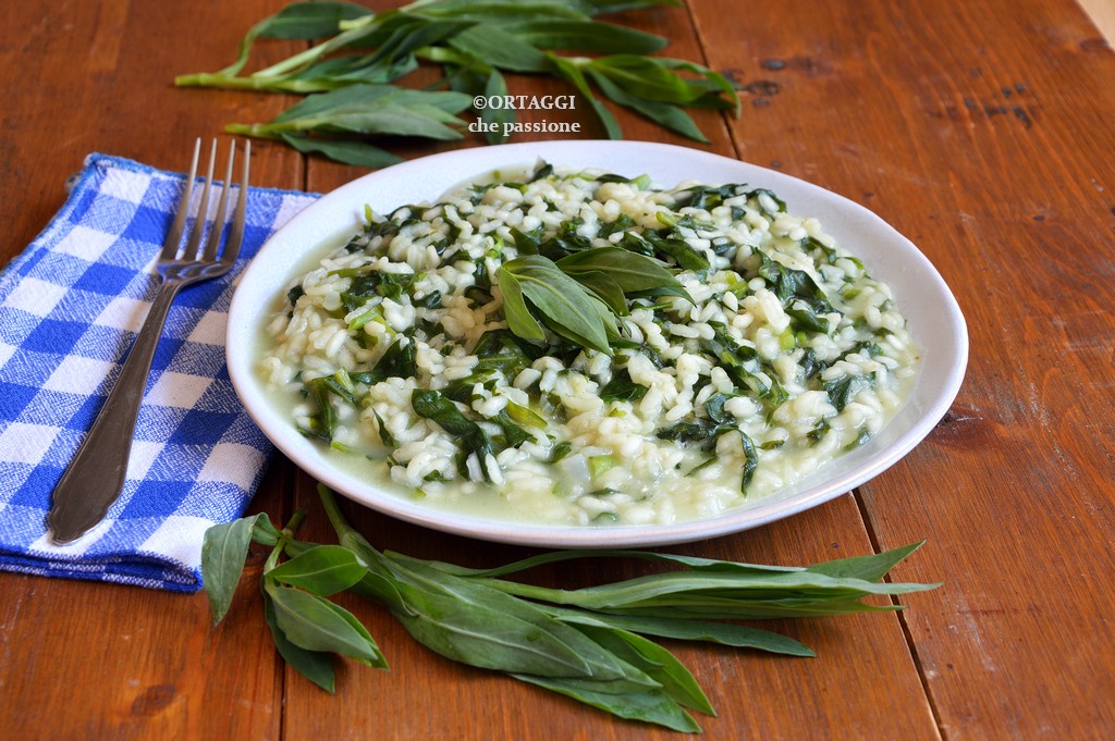 Creamy risotto with carletti (stridoli, sclopit)