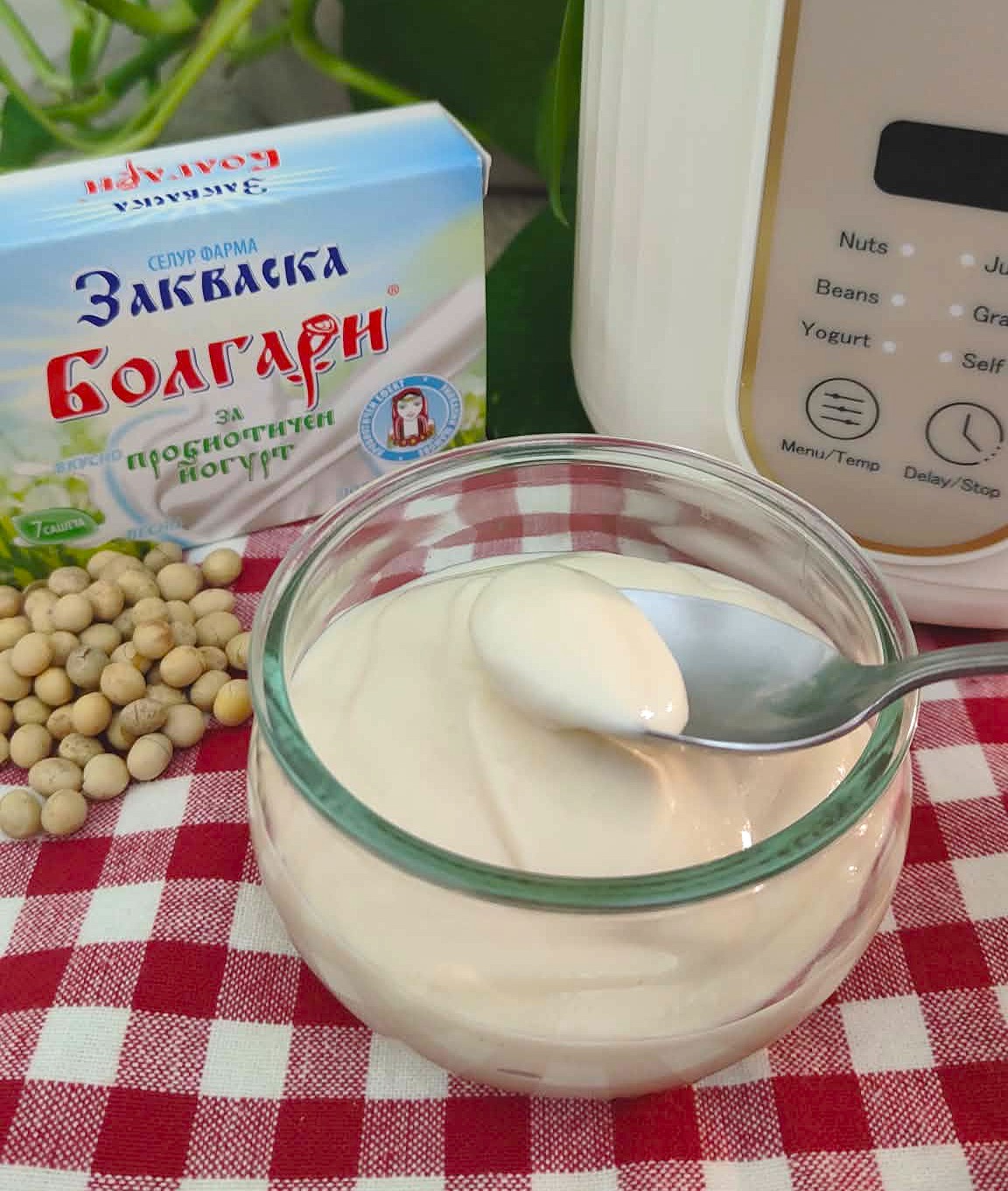 THICK AND CREAMY HOMEMADE SOY YOGURT: The Method to Make It with Homemade Soy Milk or High-Protein Soy Milk (with Yogurt Maker, Thermomix or Monsieur Cuisine)