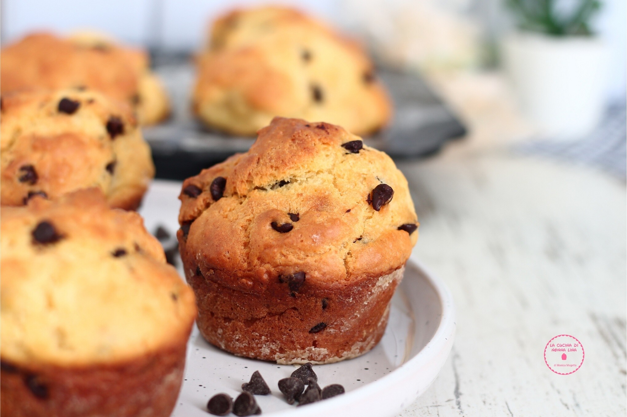 Ricotta-Schoko-Muffins, super weich!