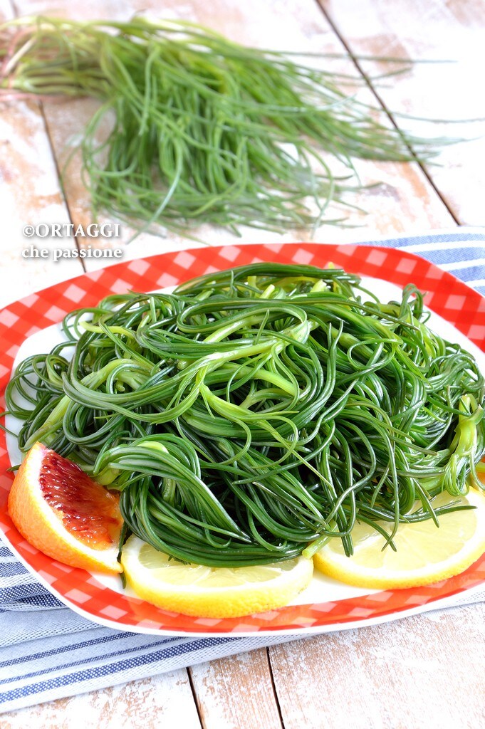 agretti REZEPTE