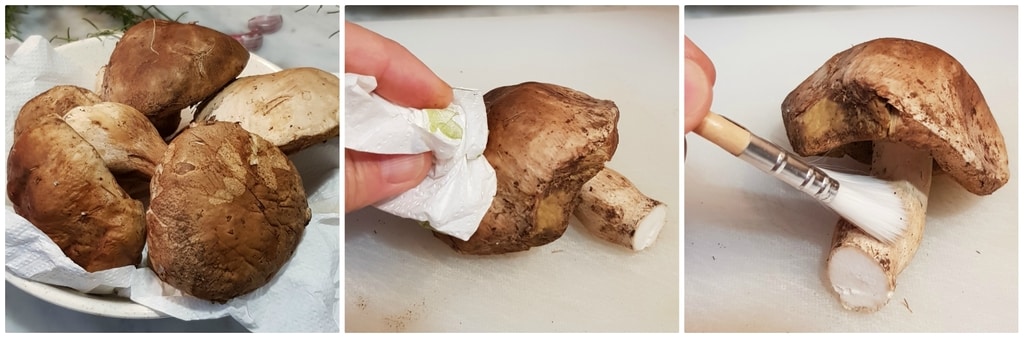 frische Steinpilzsoße