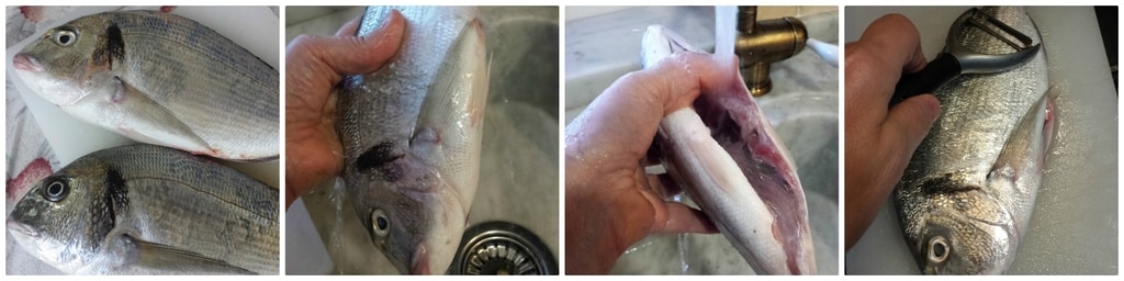 in der Pfanne gebratene Dorade