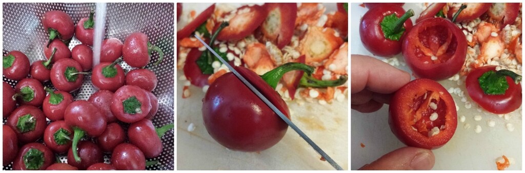 runde gefüllte Peperoni in Öl