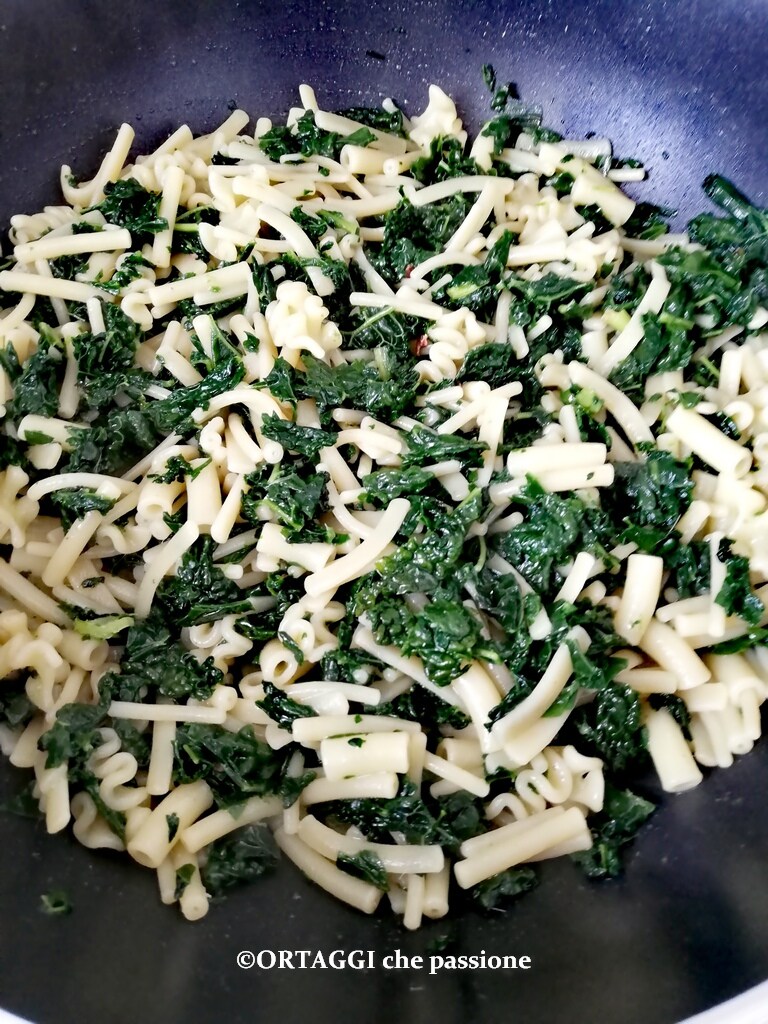 Risottierte Nudeln mit Schwarzkohl