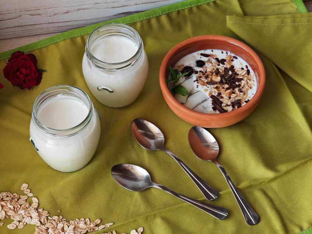 Hausgemachter Joghurt