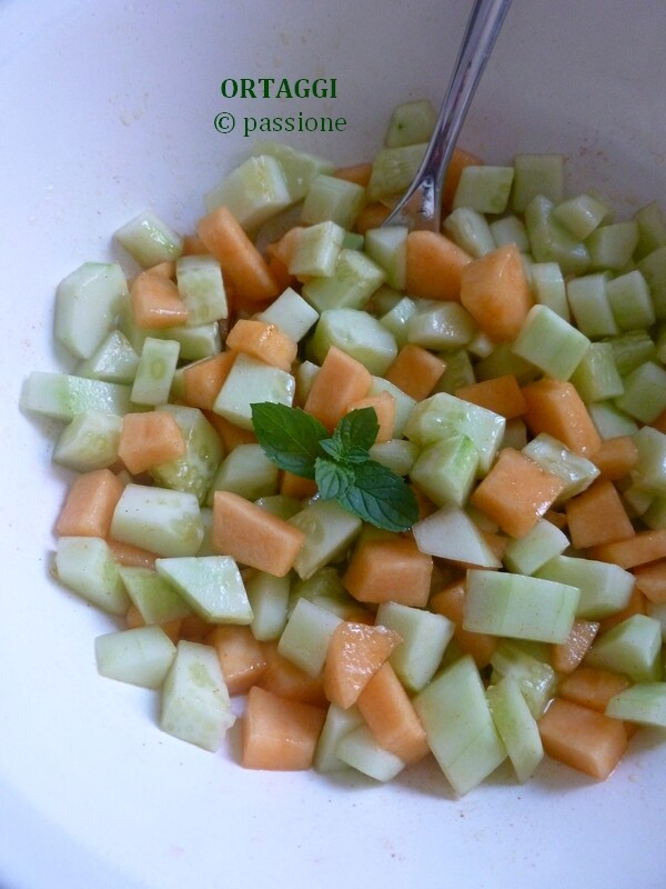Gurkensalat und Melone ORTAGGI che passione