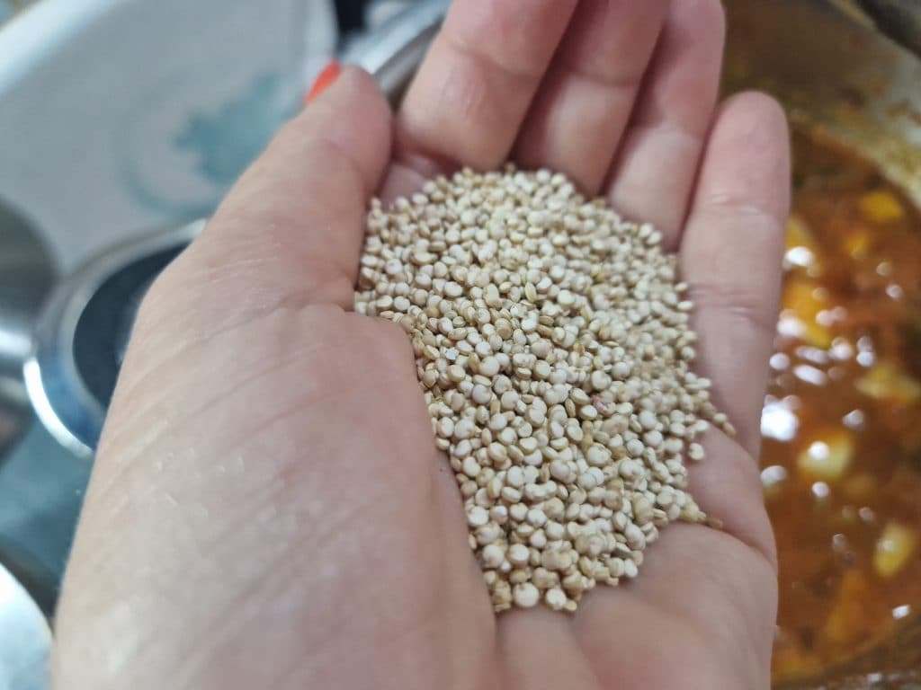 Linsen- und Quinoa-Ragout