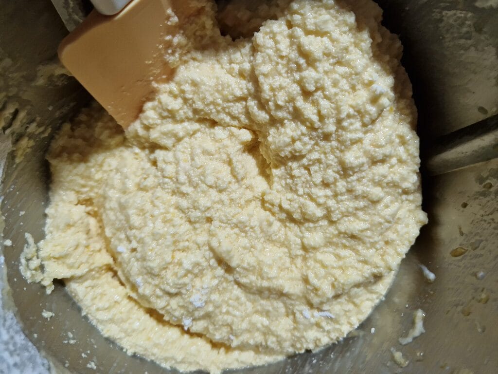 Der Orangen-Plum-Cake