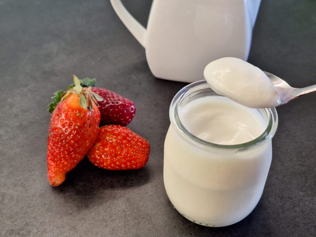 Joghurt zubereitet mit Monsieur Cuisine Smart