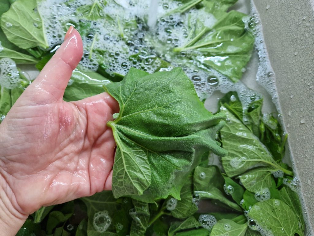 Die Pasta mit sizilianischen Tenerumi Originalrezept