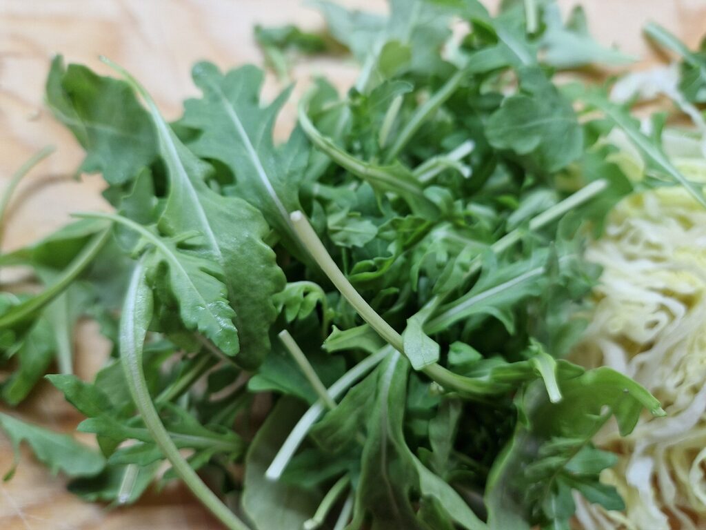 Rucola