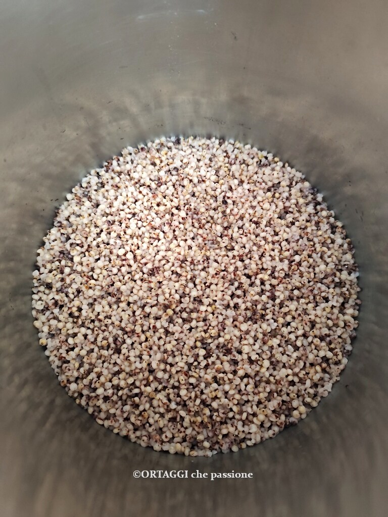 gekochtes geschältes Sorghum