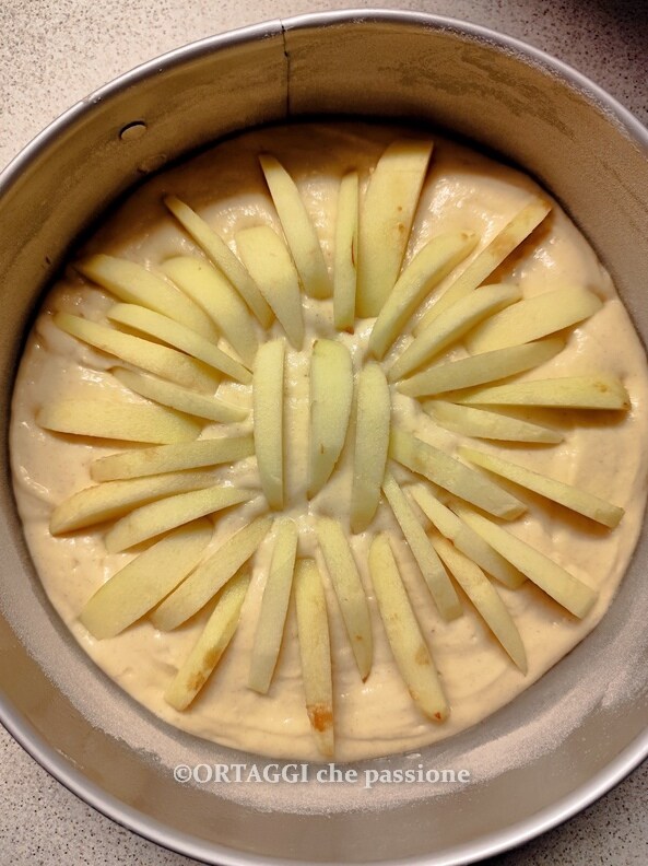 Mit Apfelscheiben die Torte dekorieren