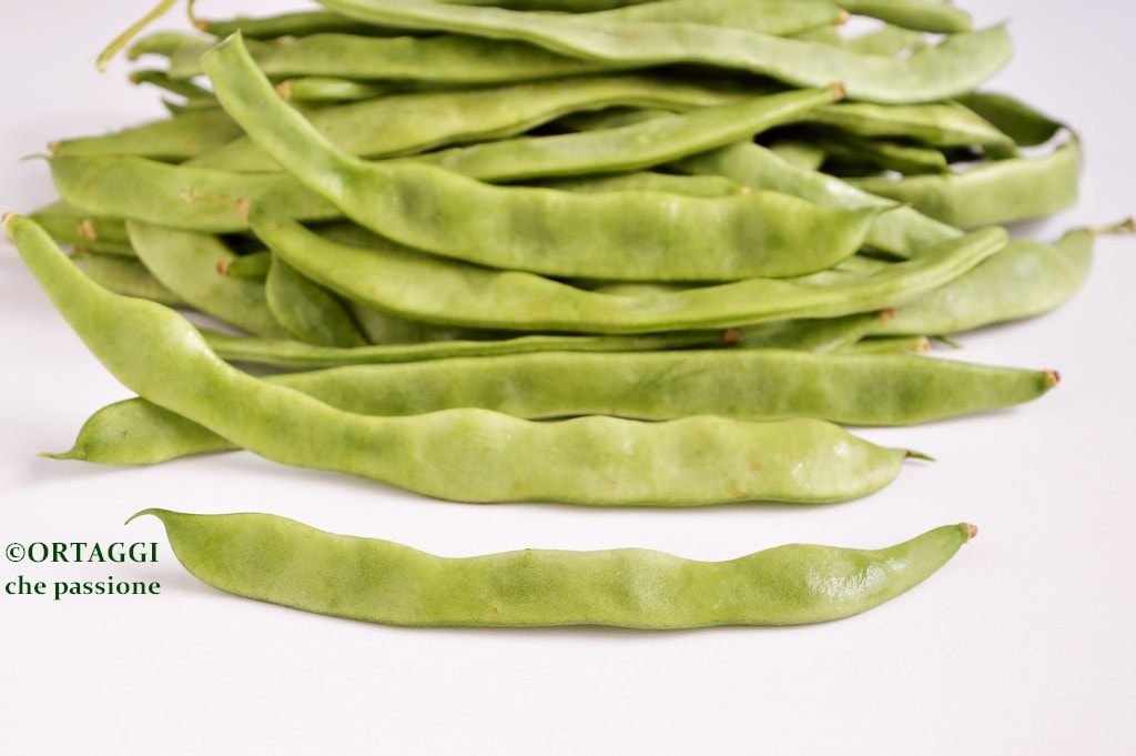 gekochte Taccole Rezepte