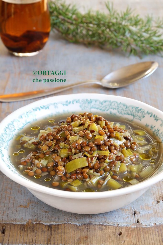 Lauch-Linsen-Suppe mit REIS und Getreide
