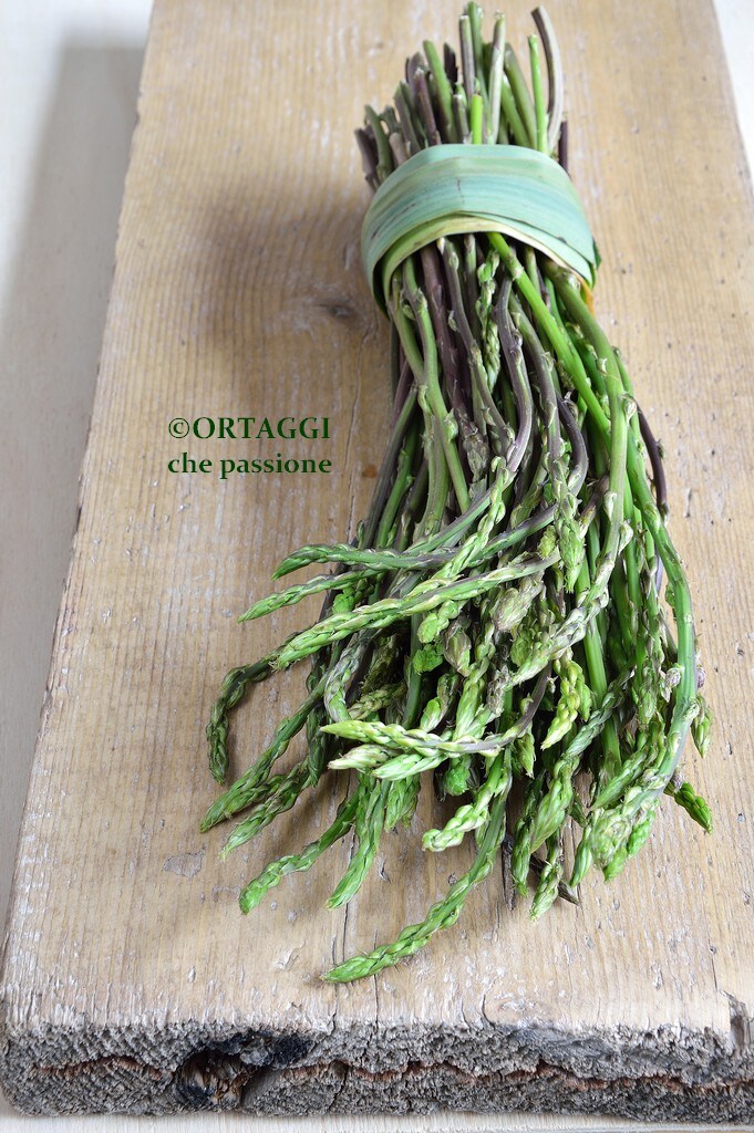 wilder-spargel REZEPTE