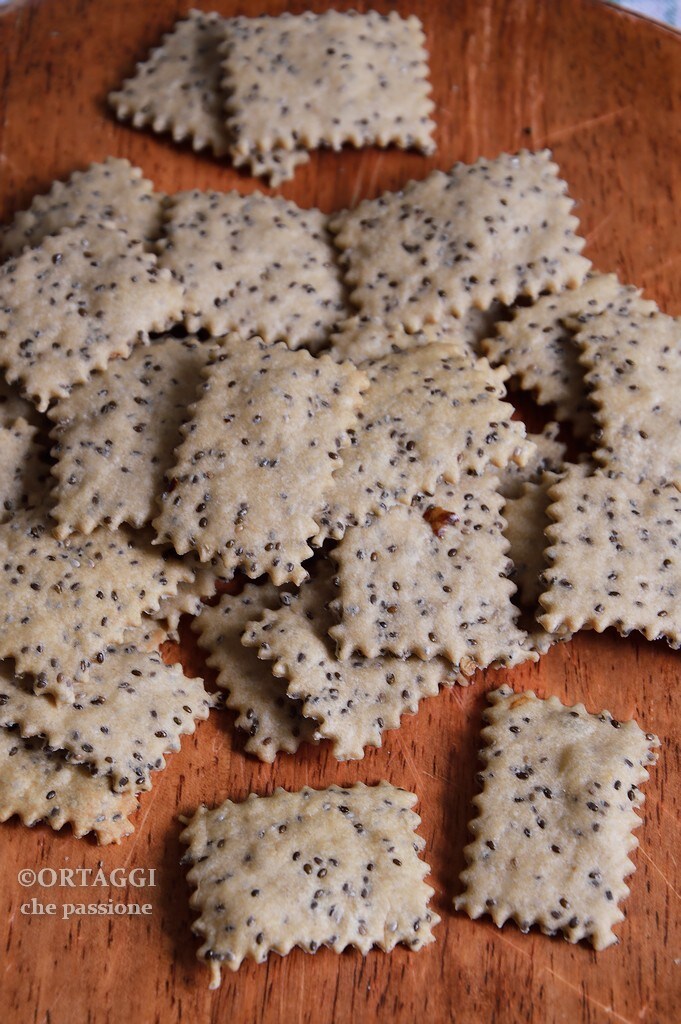 hausgemachte schnelle Cracker