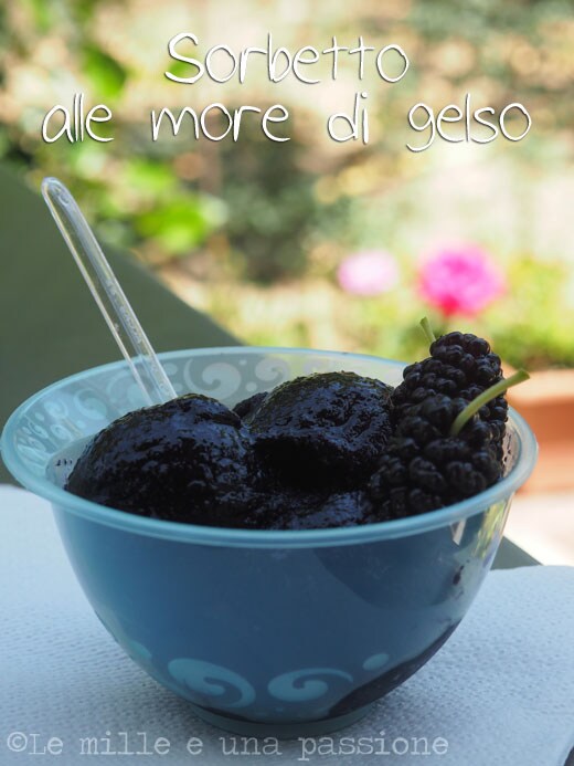 Brombeer-Maulbeer-Sorbet