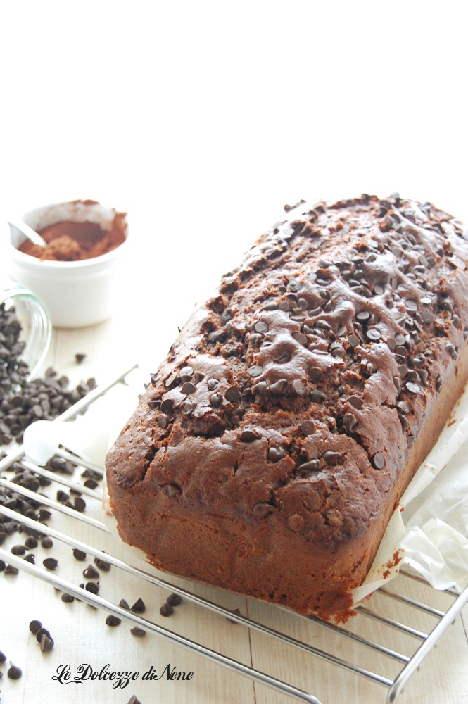 Schoko-Kakaokuchen mit Schokostückchen