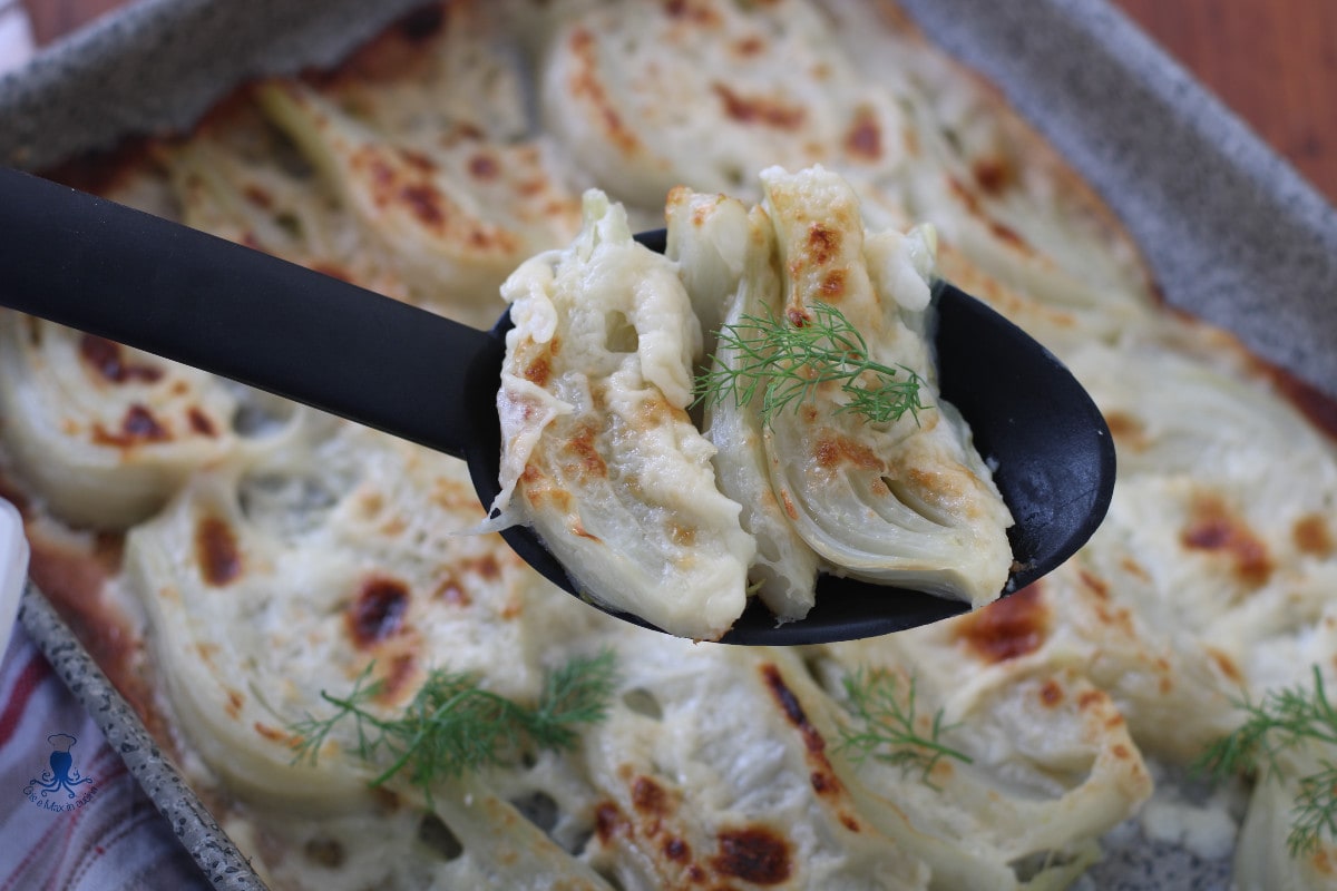 Fenchelgratin mit Béchamelsoße