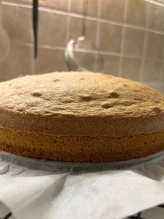 Biskuitkuchen