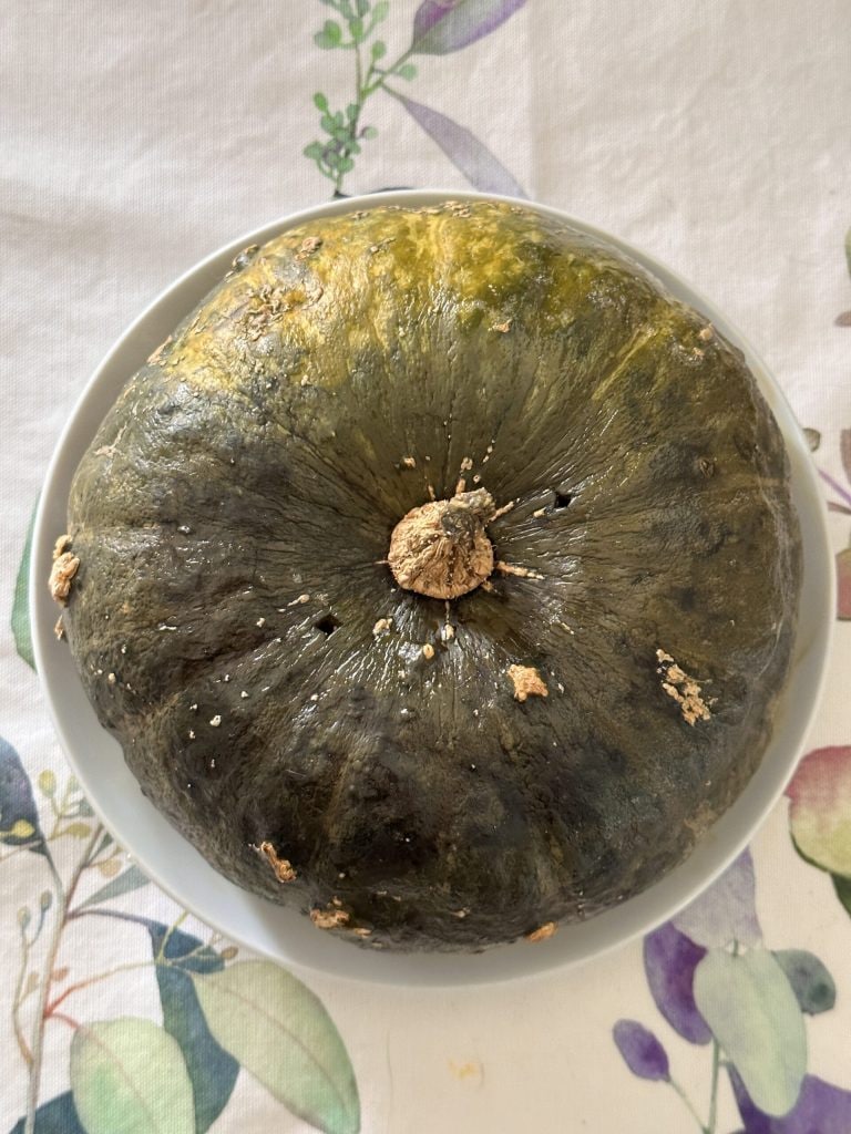 ganzer Kürbis in der Mikrowelle gekocht