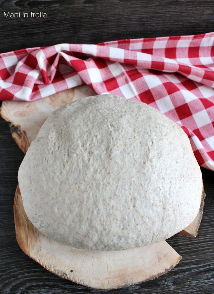 Langzeitgeführter Pizzateig