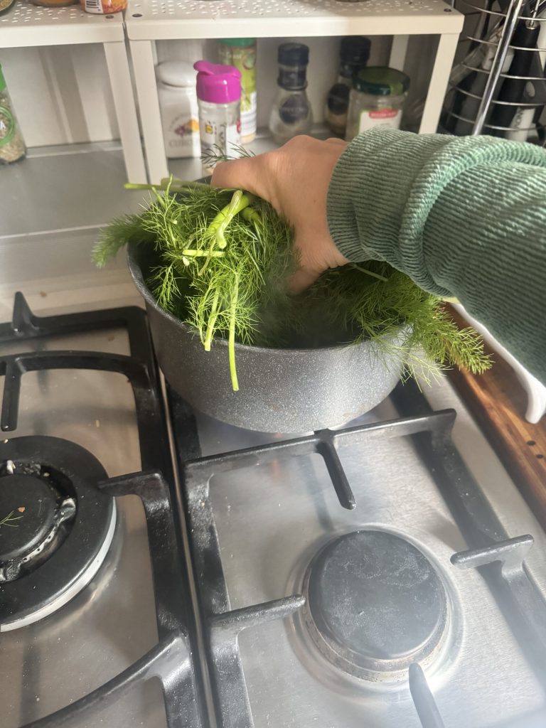wilder Fenchel zum Blanchieren