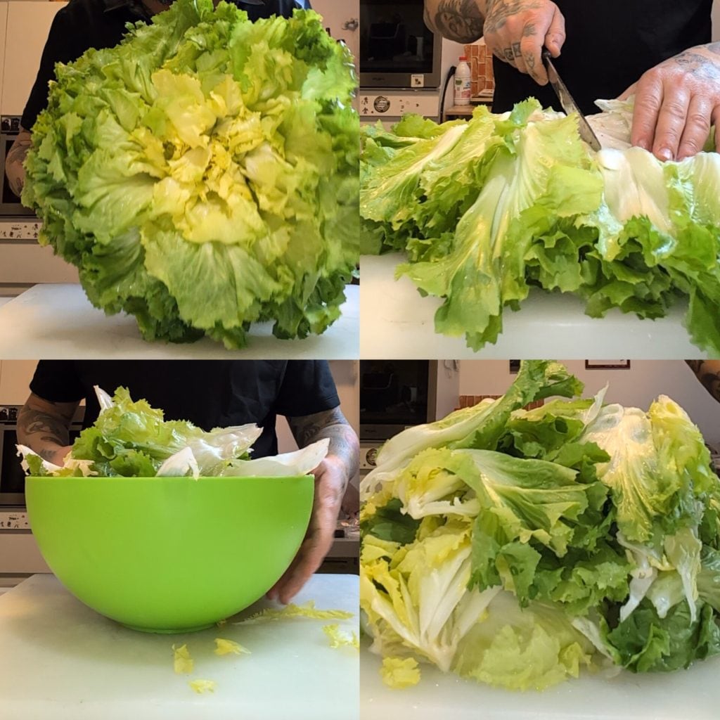 Gedünsteter Endiviensalat nach neapolitanischer Art