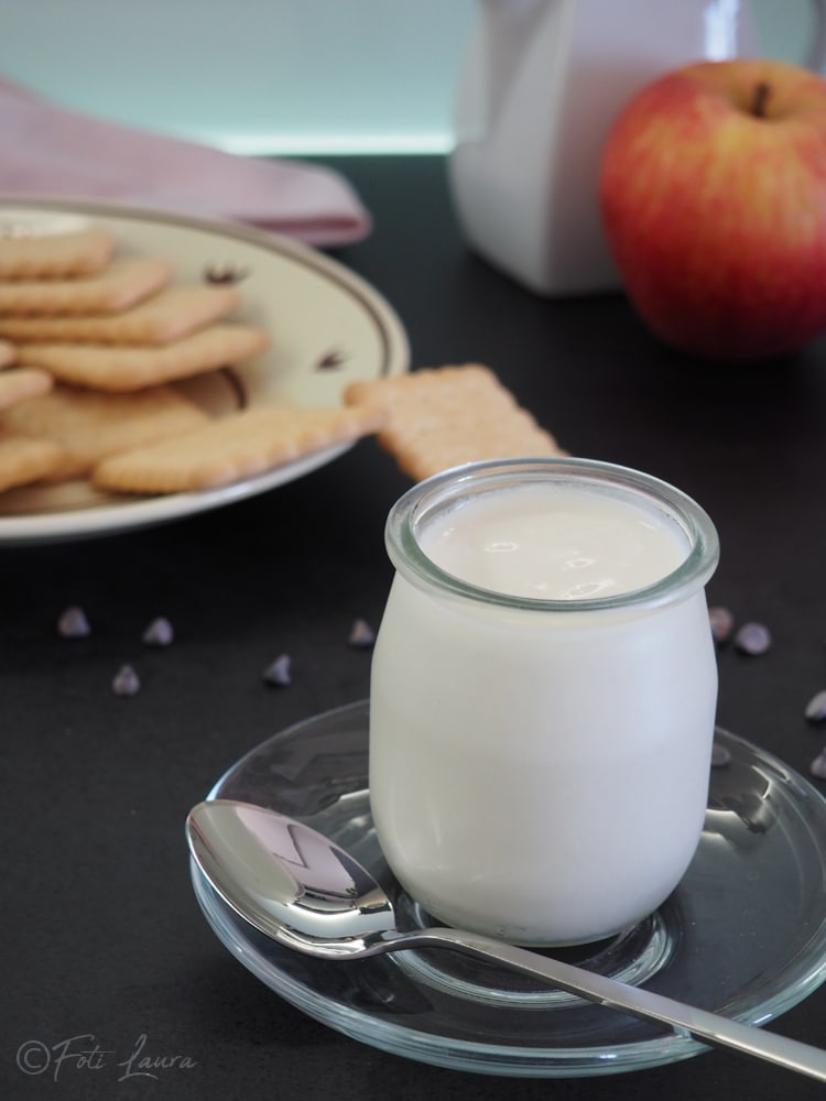 Hausgemachtes Joghurt mit der Silvercrest Brotbackmaschine