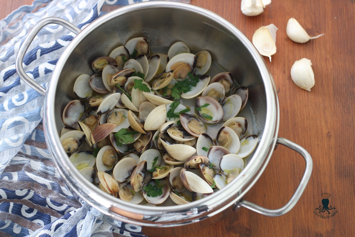 Venusmuschelsauce im Schnellkochtopf