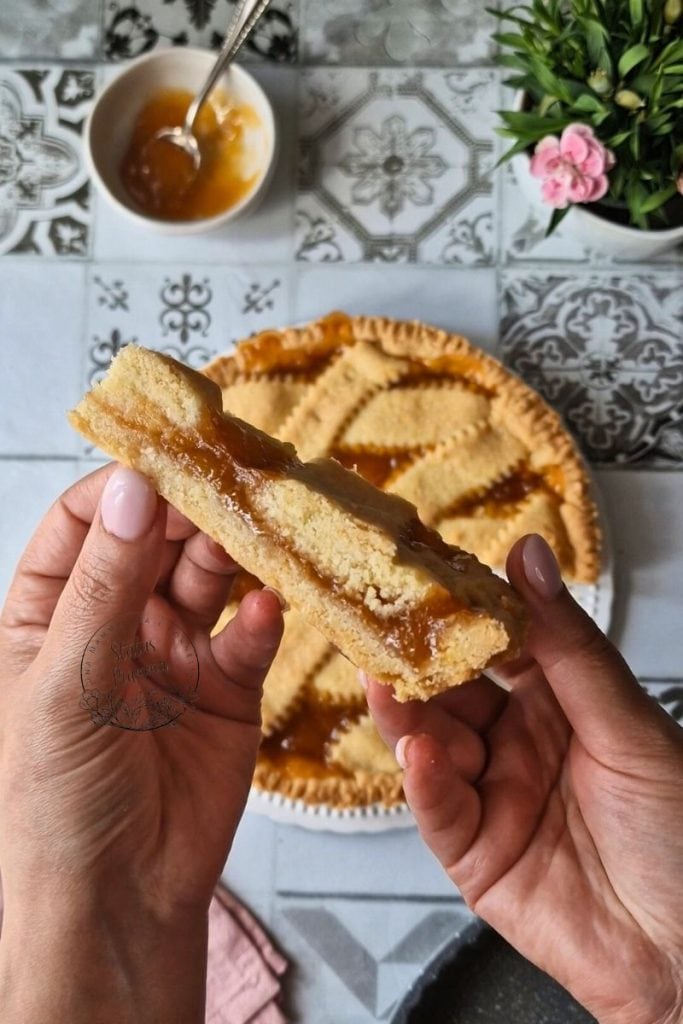 Omas Aprikosenkuchen Rezept: Ein Unwiderstehliches Hausgemachtes Dessert