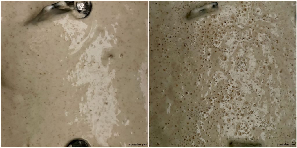 Poolish aus Weizenmehl Typ 2