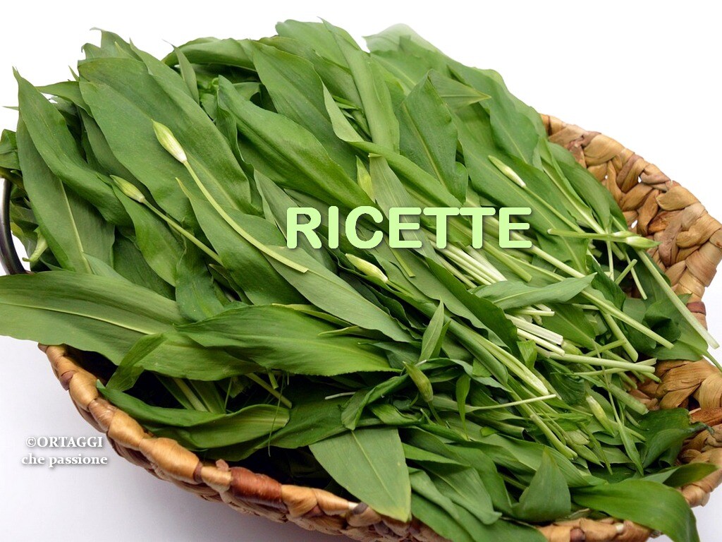 Bärlauch – REZEPTE