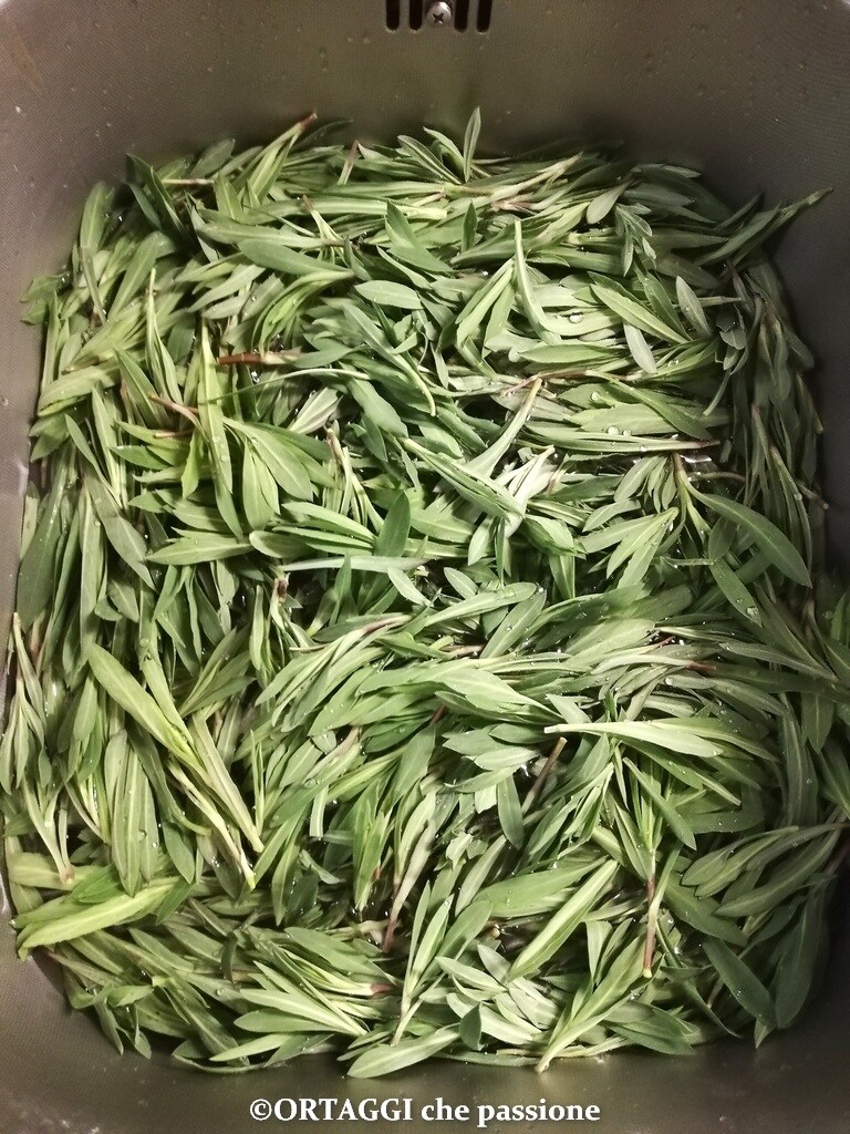 Reinigung Carletti Wildkraut Stridoli