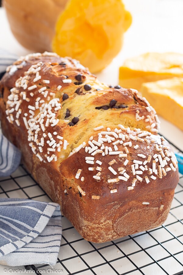 SEHR WEICHER KÜRBIS-BRIOCHE