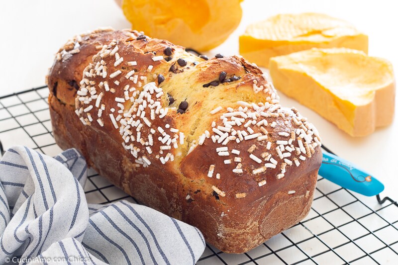 SEHR WEICHER KÜRBIS-BRIOCHE