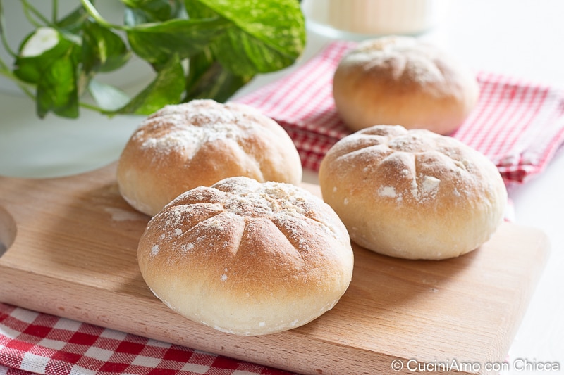 Schildkrötenbrot