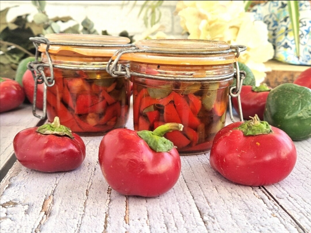 Eingelegte Paprika in süß-saurer Marinade im Glas
