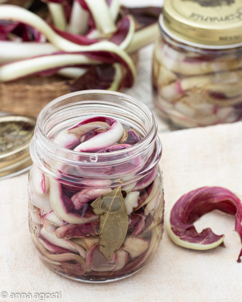 Treviso-Radicchio in Öl eingelegt