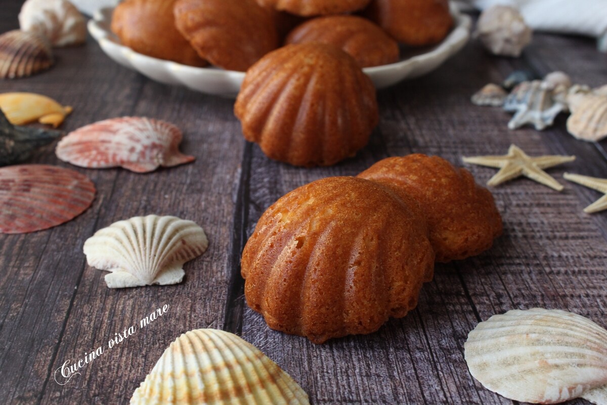 Vanilleschalen