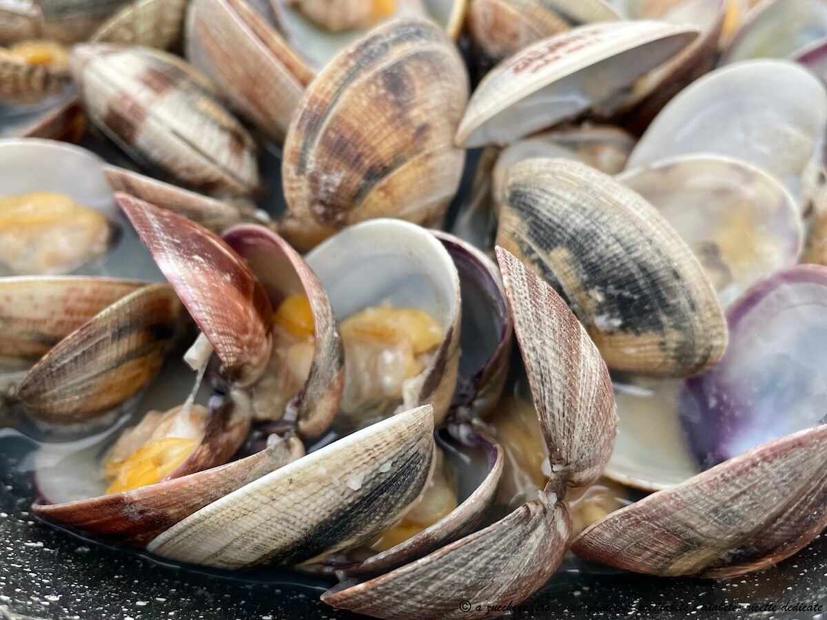 Wie man Muscheln vom Sand befreit und ohne Öl in der Pfanne öffnet