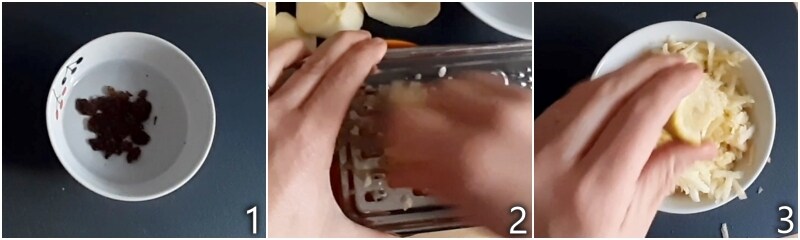 a. Äpfel mit einer Reibe mit großen Löchern reiben