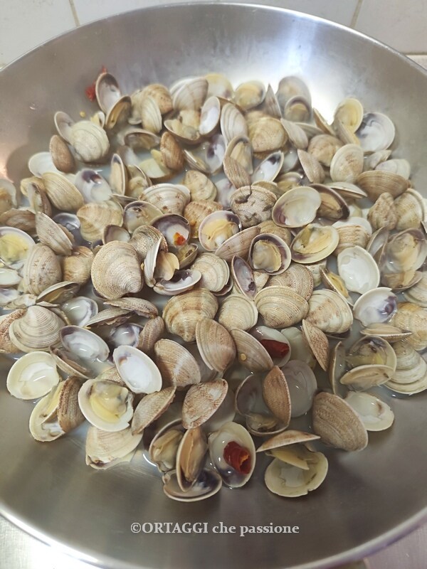 Venusmuscheln offen in der Pfanne