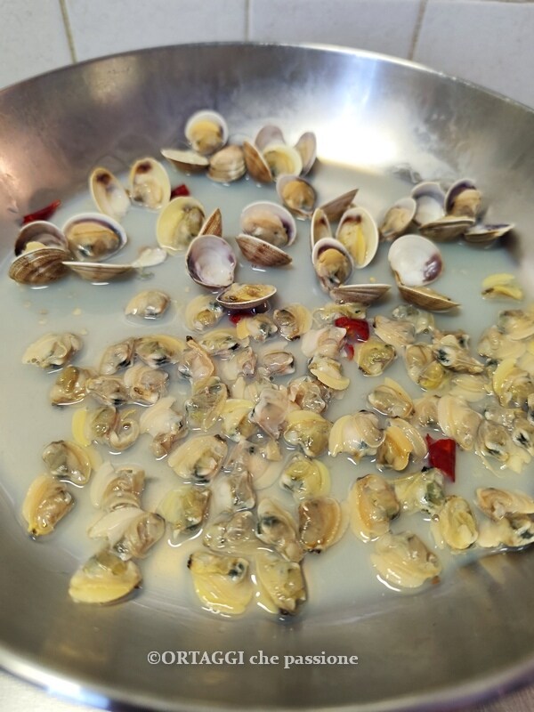 die Mehrheit der Venusmuscheln schälen